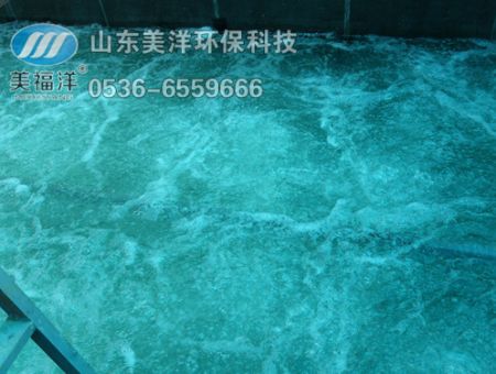 點擊查看詳細信息<br>標題：曝氣 閱讀次數：3267