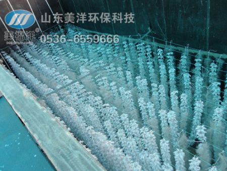 點擊查看詳細信息<br>標題：填料 閱讀次數：2990